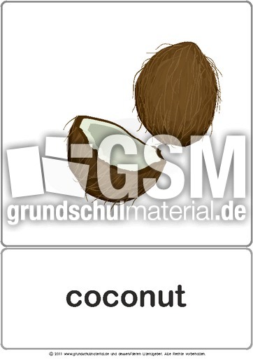 Bildkarte - coconut.pdf